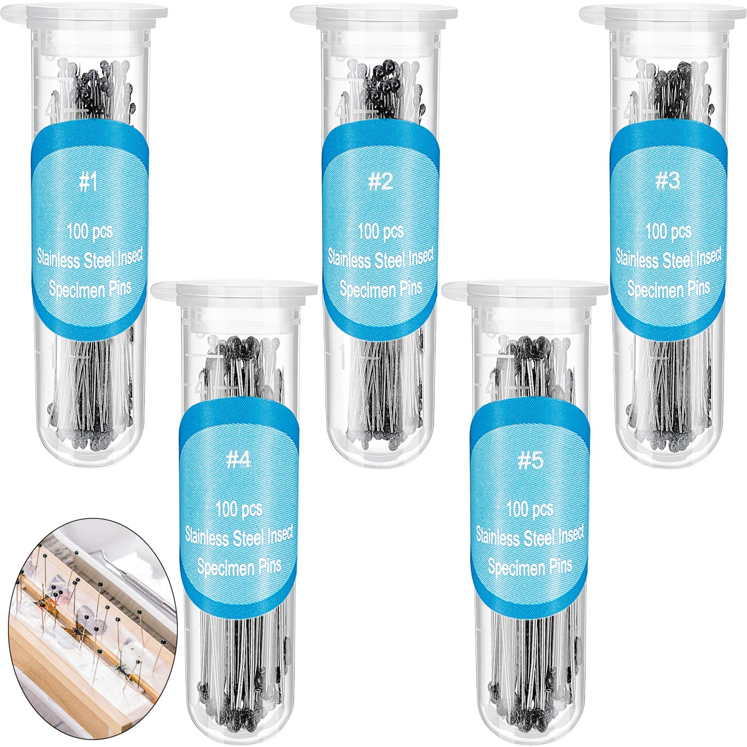 5. WILLBOND Kit de 500 pines de acero inoxidable para insectos, pasadores de entomología, colecciones de mariposas, paquete variado para exhibición