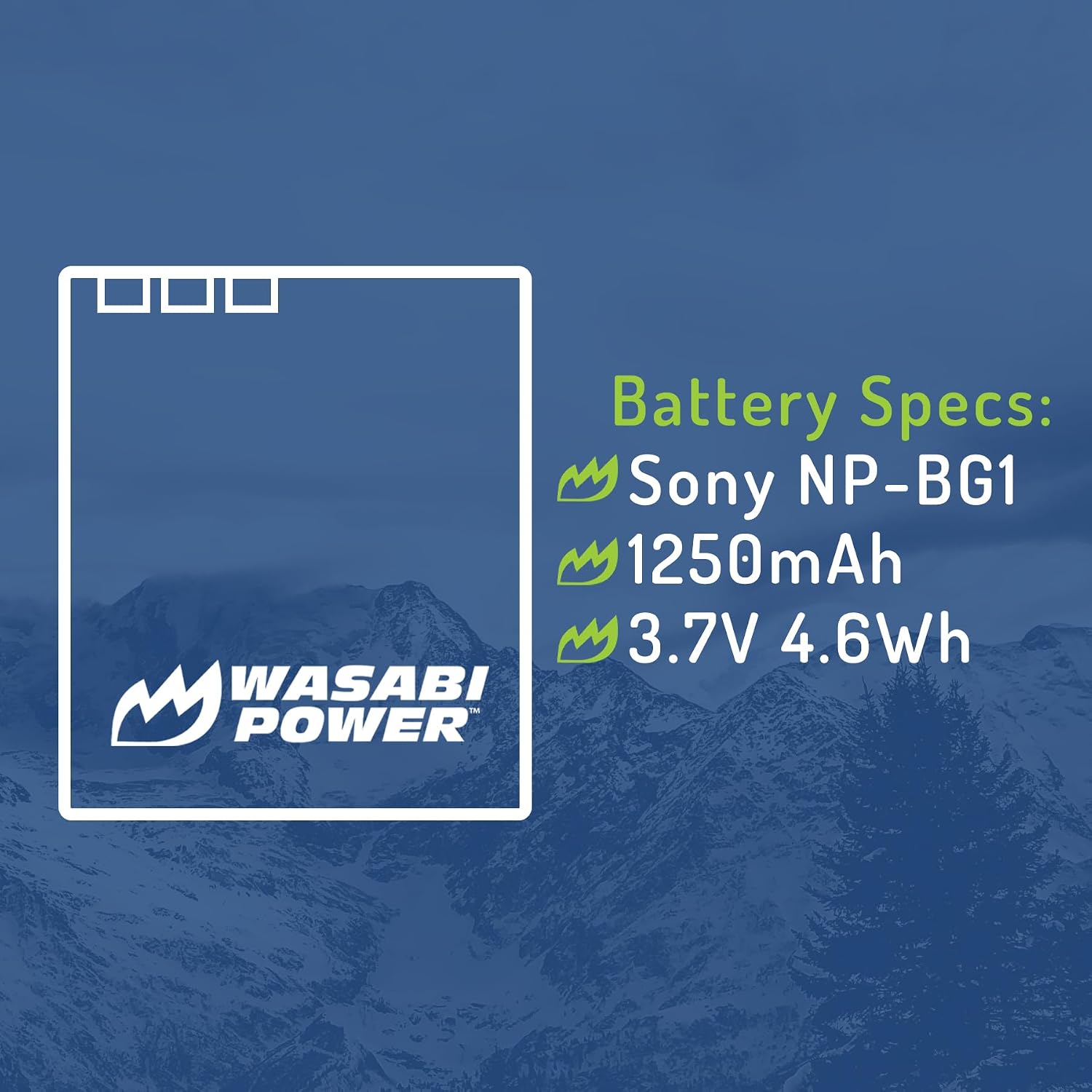 Wasabi Power Batería NP-BG1, NP-FG1 para Sony Cyber-Shot, DSC-H3, DSC-H7, DSC-H9, DSC-H10, DSC-H20, DSC-H50, DSC-H55, DSC-H70, DSC-H90, DSC-HX5V